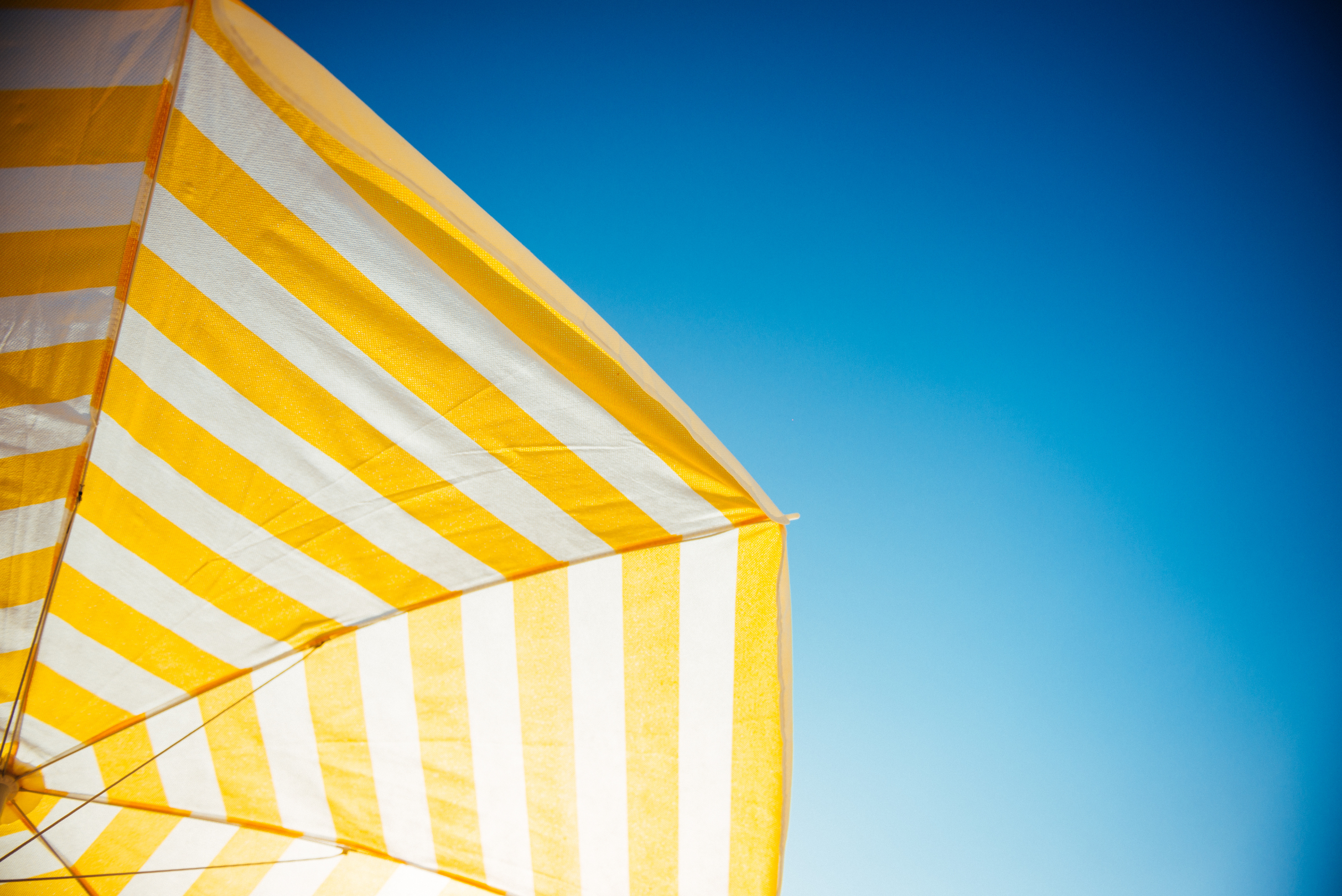 Période estivale : garder un lien professionnel avec vos clients même en vacances